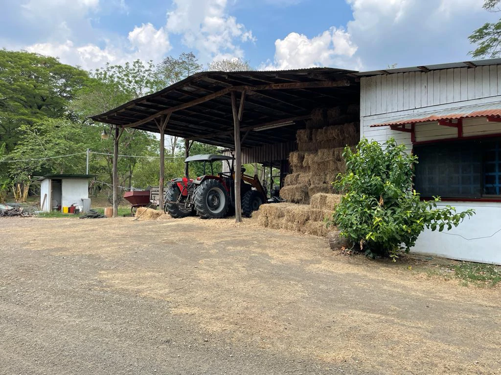 Farm for Sale to Develop Guanacaste Costa Rica - Gallery image 13