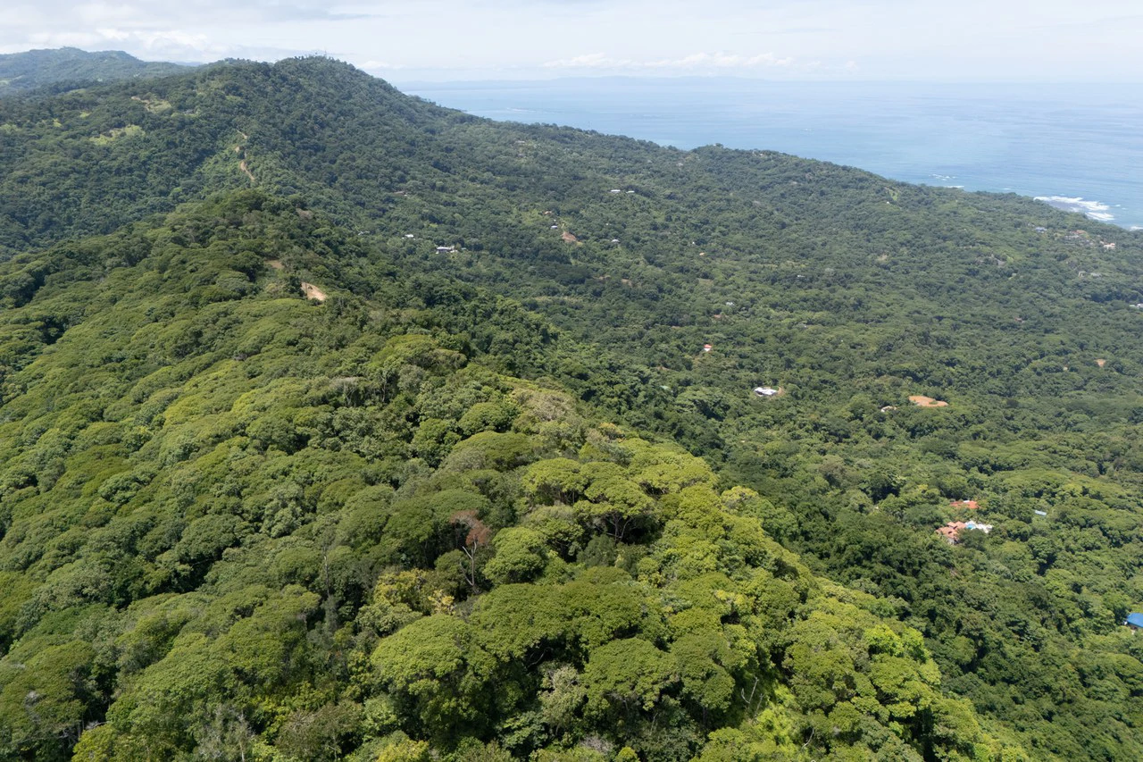 Near the Coast Home Construction Site For Sale in Dominical - Gallery image 14