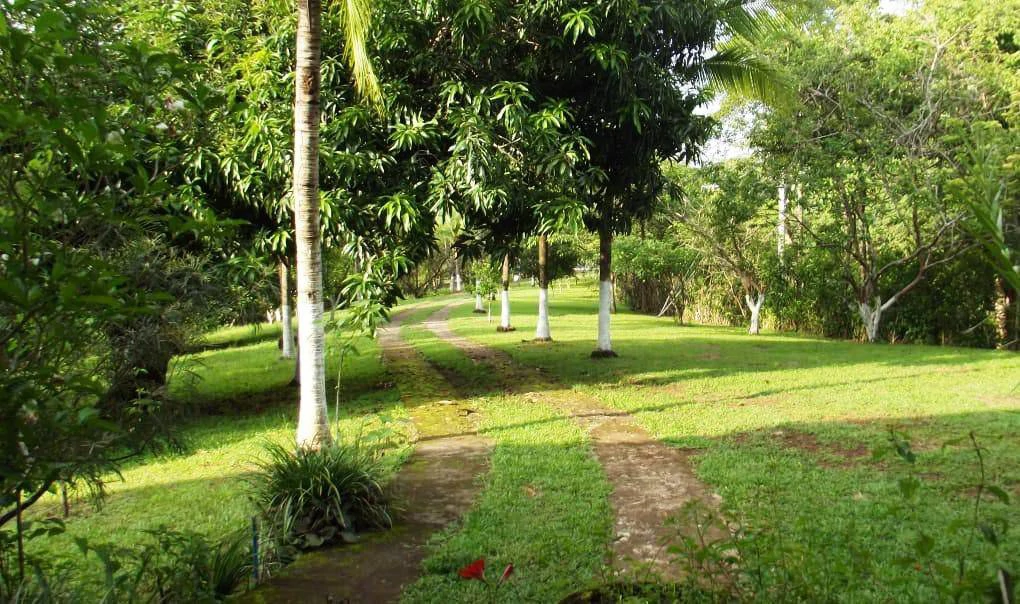 Finca Wellness: Live the Pura Vida Dream – Nature, Privacy & Pacific Beaches