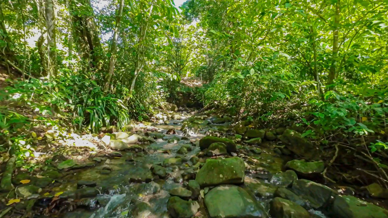 Development Parcel Central Uvita with River! - Gallery image 3