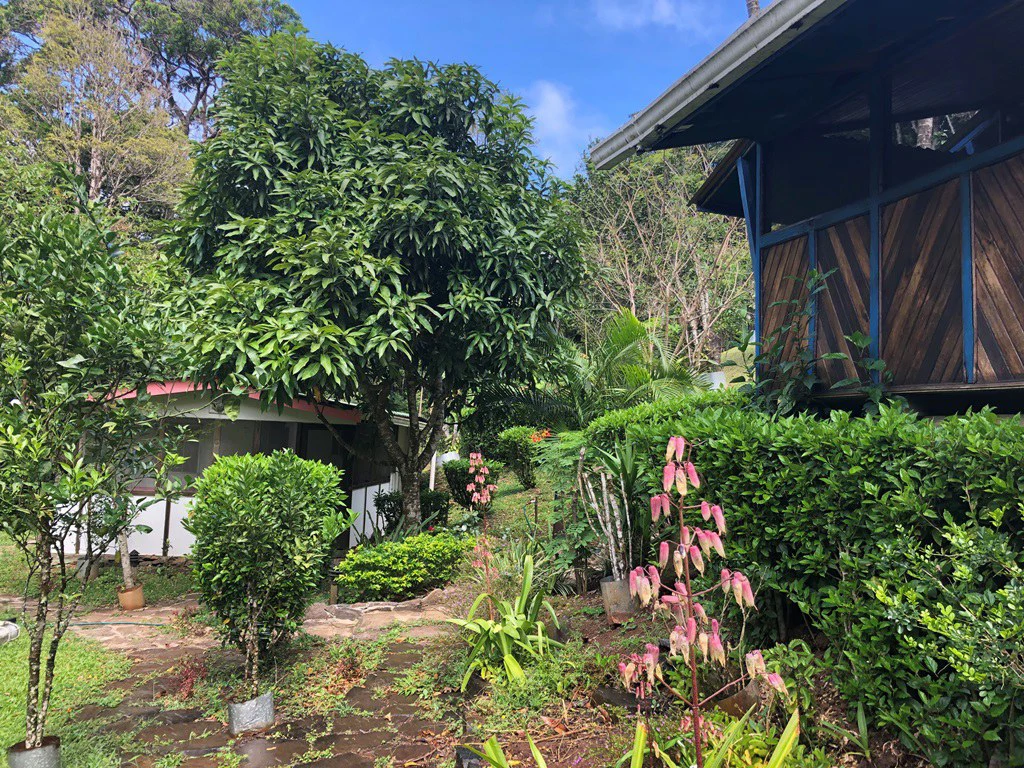 TURNKEY SOLUTION ECO MOUNTAIN LODGE FOR SALE - Gallery image 13
