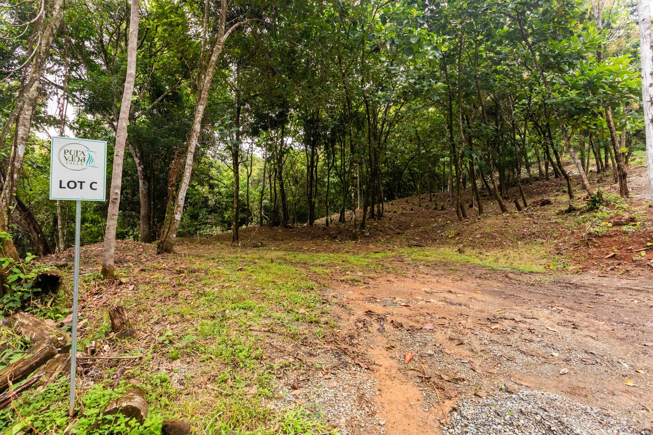 2.4 Acre Property In The Mountains Above Dominical with Waterfall Views - Gallery image 10
