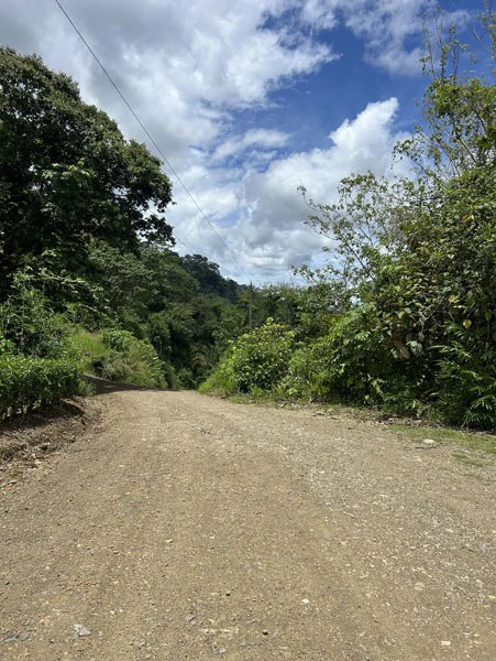 Panoramic 180 Degree Ocean View Lot Ready To Build Close To Ojochal - Gallery image 16