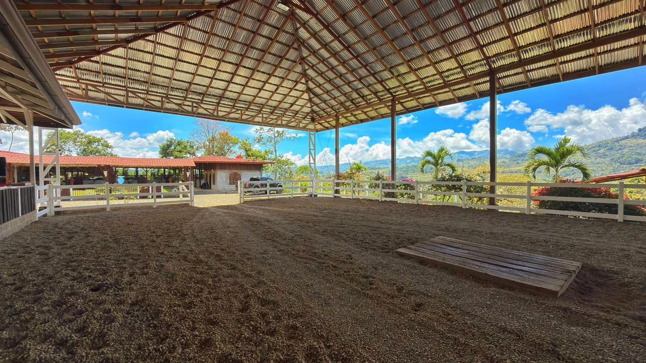 Agricultural Land For Sale in Daniel Flores - Gallery image 16