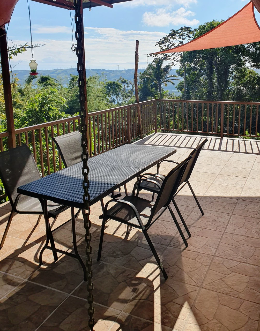 Lakeview Serenity Estate - Two Family Home: Stunning Lakeview Two-Family Home on 3,600 m² – Privacy, Nature & Income Potential - Gallery image 6