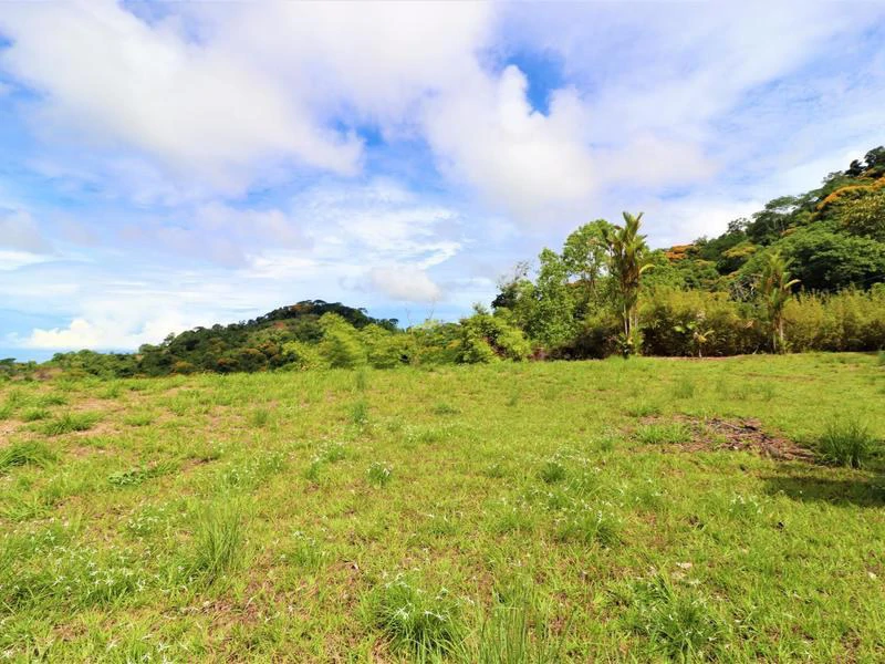 Captivating 3.15-Acre Property: Huge Pricedrop! Firesale Oceanview Lot in Tres Rios - Gallery image 37