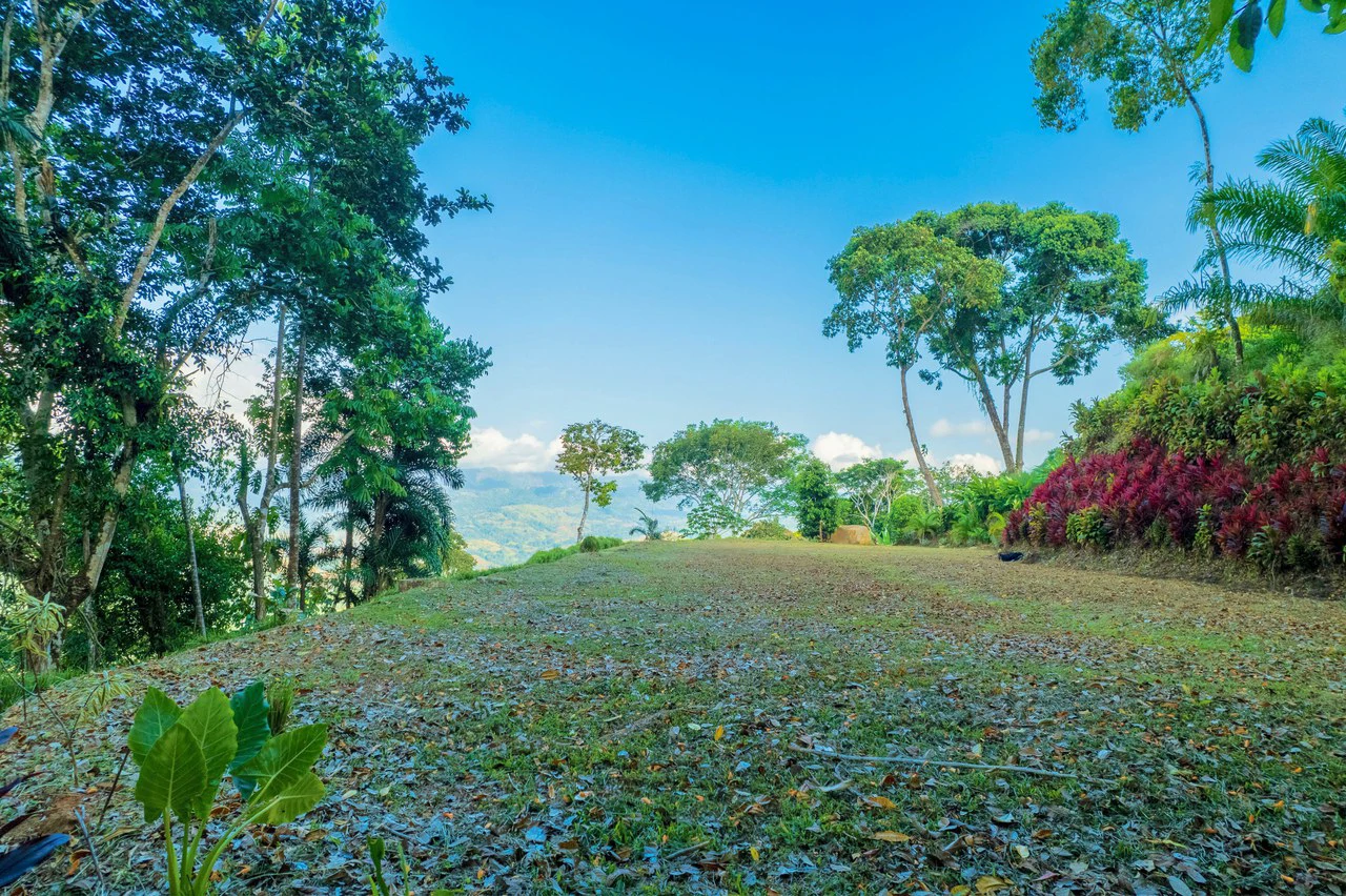 5.3 ACRES – Mountain And River View Land 20min To Dominical, Ready To Build, Legal Water, Electricity & Fiber Optics, Streams And Community Trails!!!! - Gallery image 8