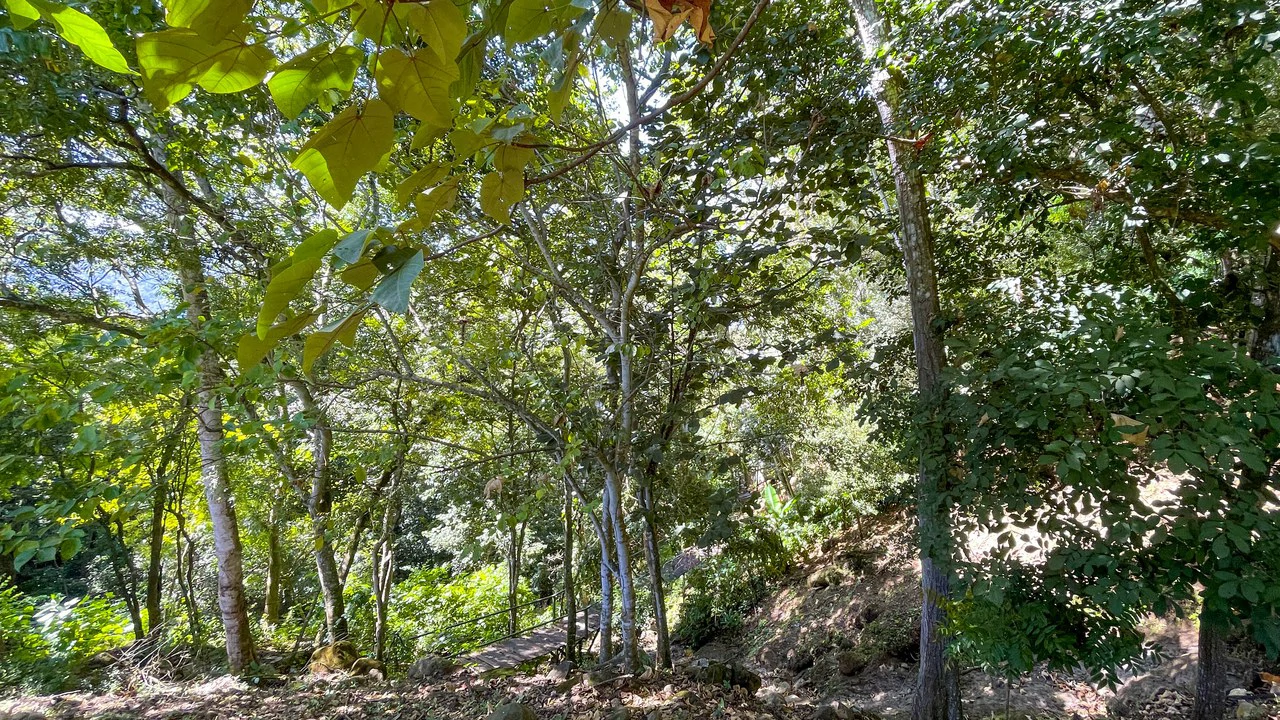 Lot for Sale in Escobal, Atenas- gravel road - Gallery image 4