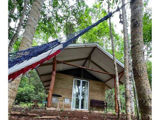 INCREDIBLE ECOLOGICAL PROPERTY WITH 4 SPECTACULAR WATERFALLS - Gallery image 7