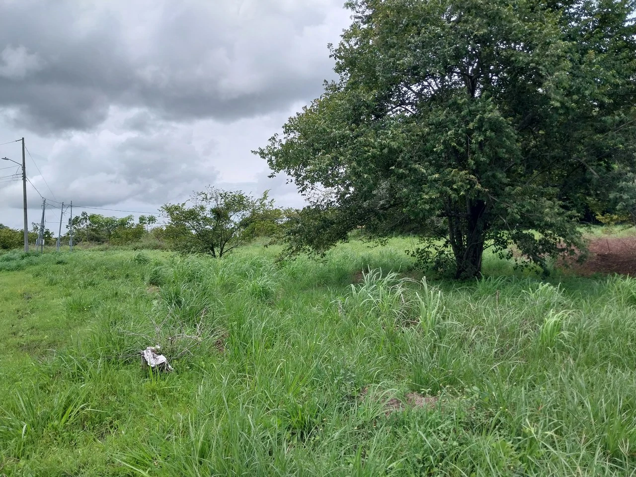 T-182: Volcano view and lot for Sale in Liberia - Gallery image 4