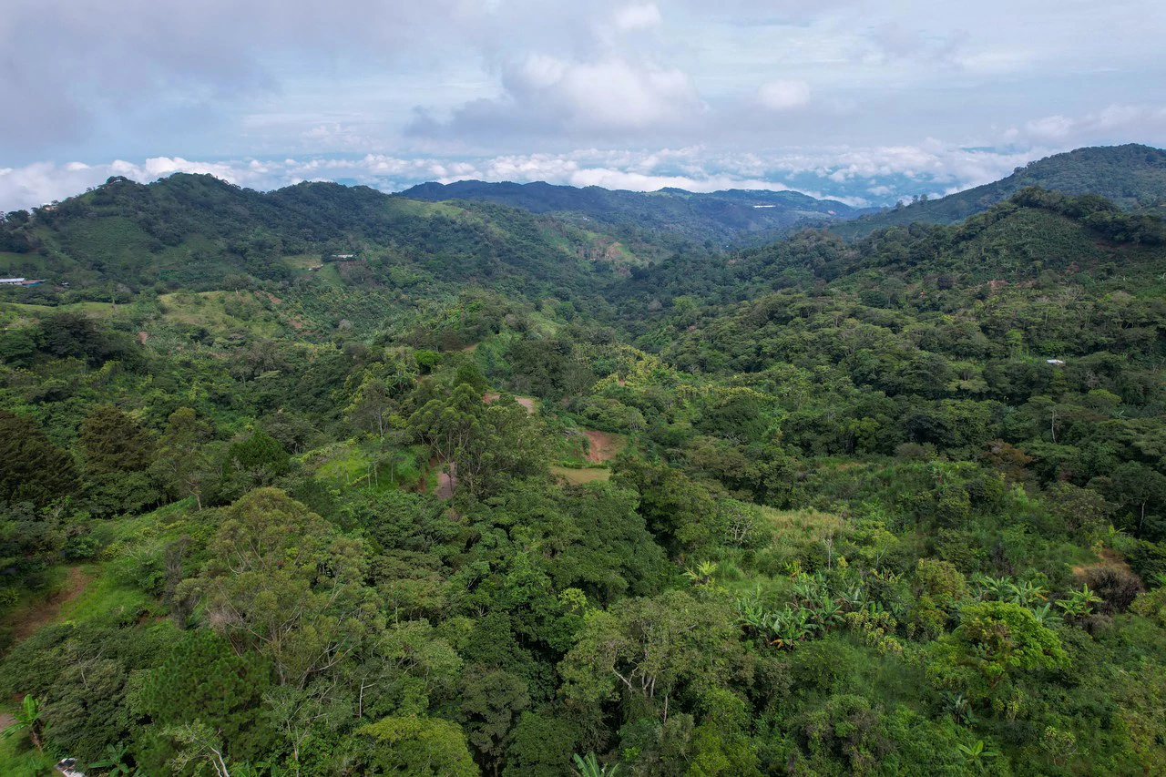 Property for Sale in Berlin de San Ramón, Costa Rica - Gallery image 6