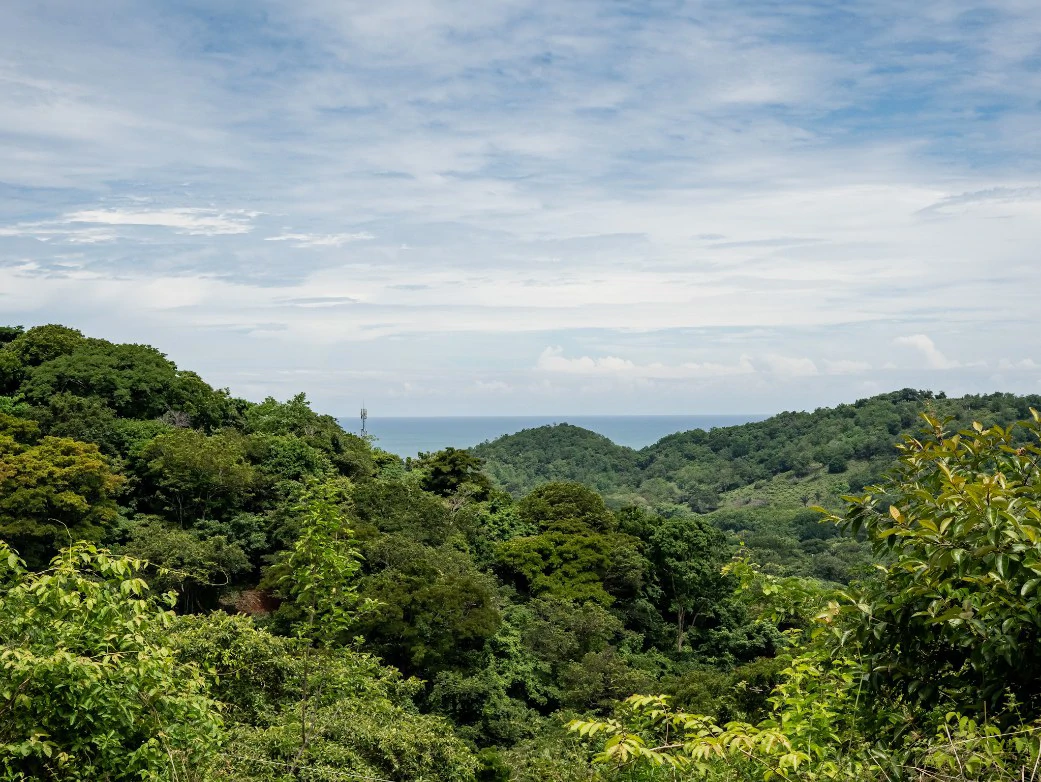 Lote Vista Lapa - 2.1 Acre Ocean View Lot: Countryside Home Construction Site For Sale in Playa Samara - Gallery image 7