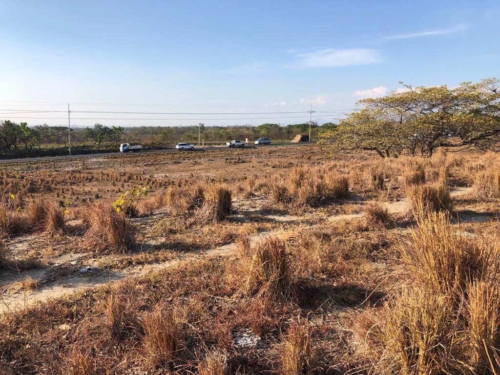 Airport Property - in front of route 21, Liberia - Gallery image 5