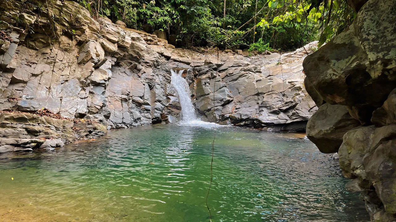 FINCA CERRO DEL TIGRE! OVER 20 ACRES OF PRIMARY FOREST AND WATERFALLS.: Mountain Agricultural Land For Sale in La Unión - Gallery image 28