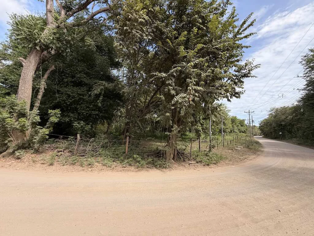 Build-Ready Lot: Palm Beach Estates - photo 7
