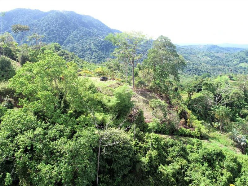 Captivating 3.15-Acre Property: Huge Pricedrop! Firesale Oceanview Lot in Tres Rios - Gallery image 21