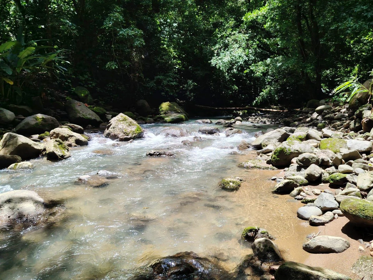 TERRENO EN VENTA, PUNTARENAS.: Mountain Home Construction Site For Sale in Hatillo - Gallery image 5