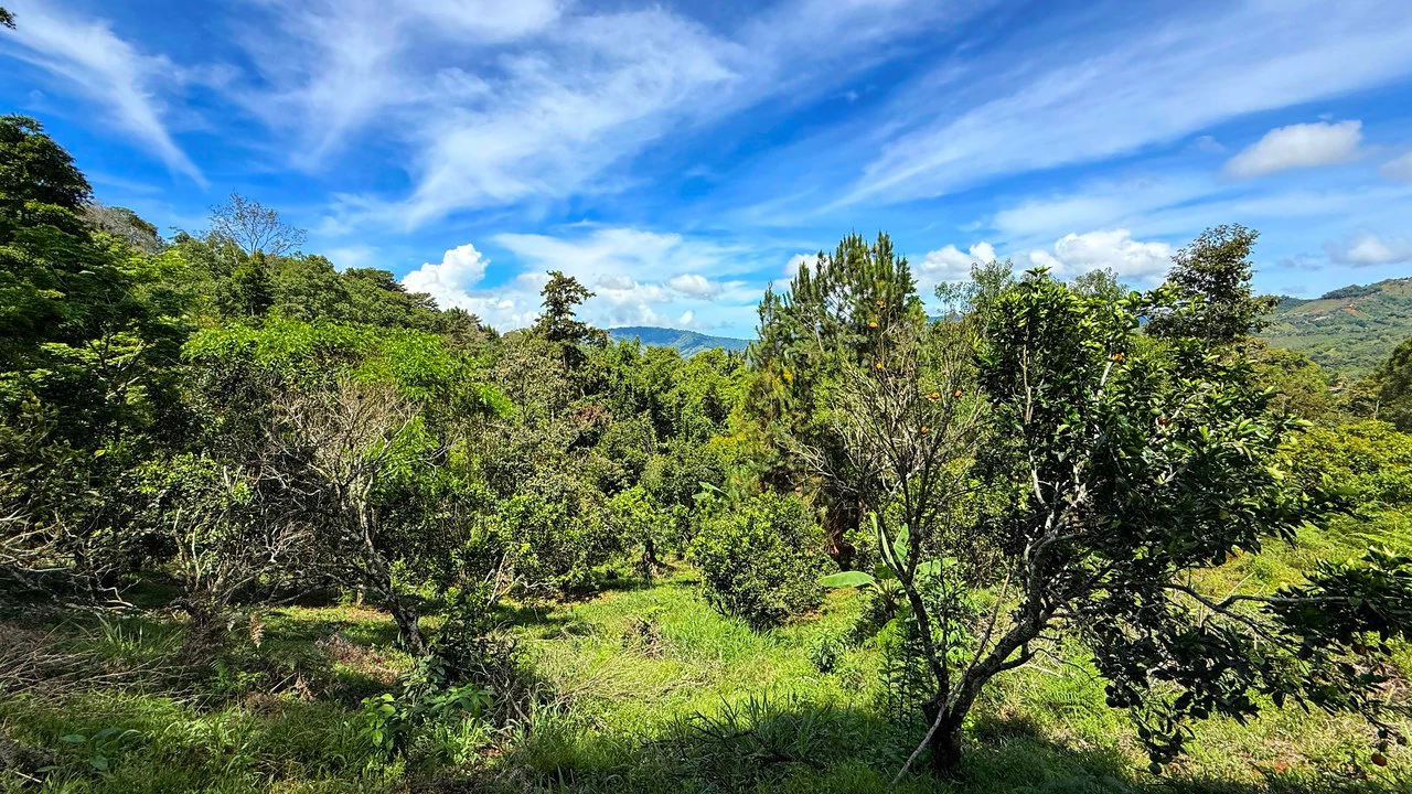 Home Construction Site For Sale in San Rafael Norte - Gallery image 16