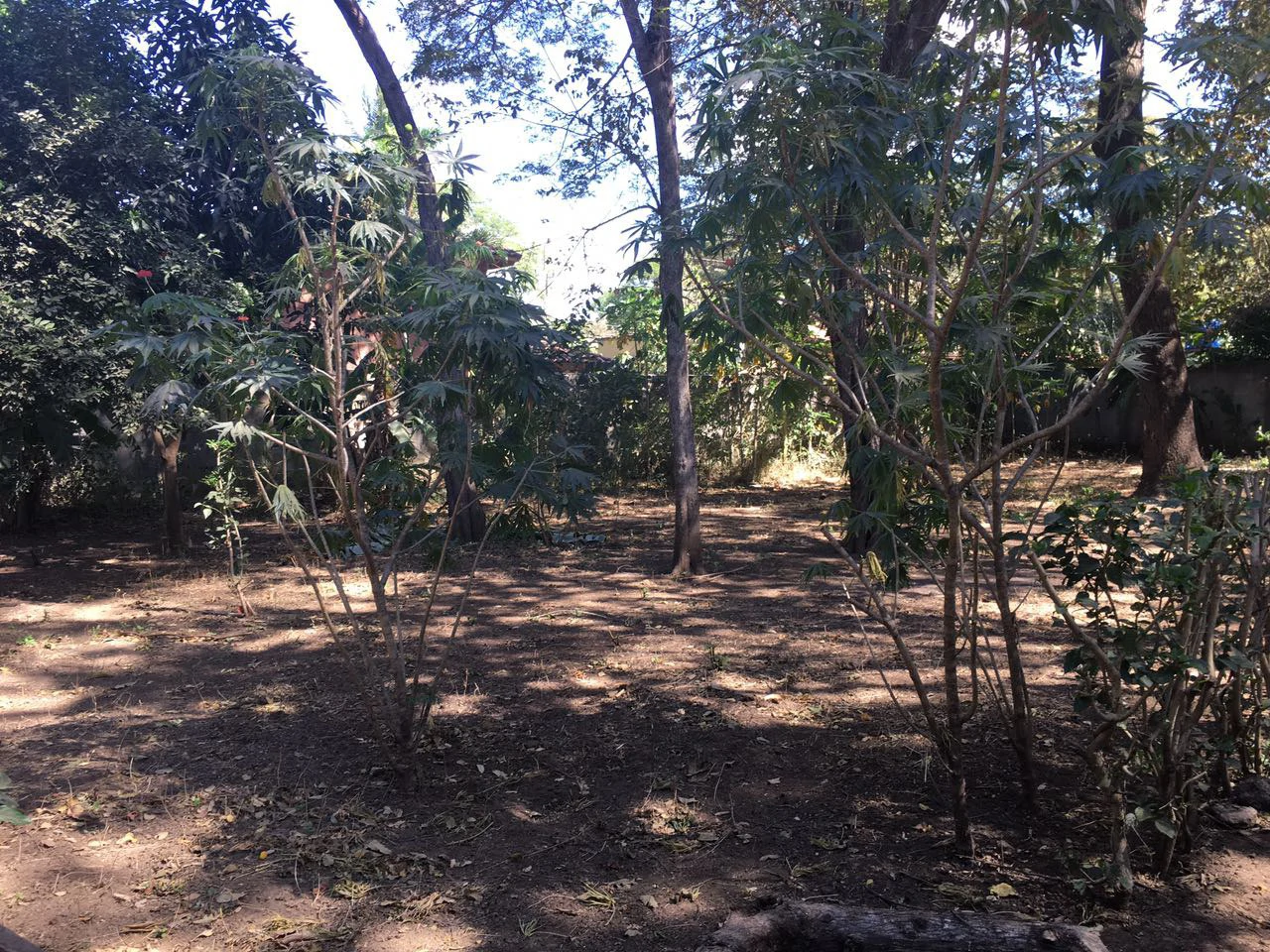 Lot K-24: Surfside lot Near the Beach! - Gallery image 3