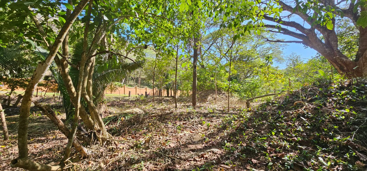 1-Acre Lot with Seasonal Creek - Build Your Dream Home, Rentals, or Business - Gallery image 2