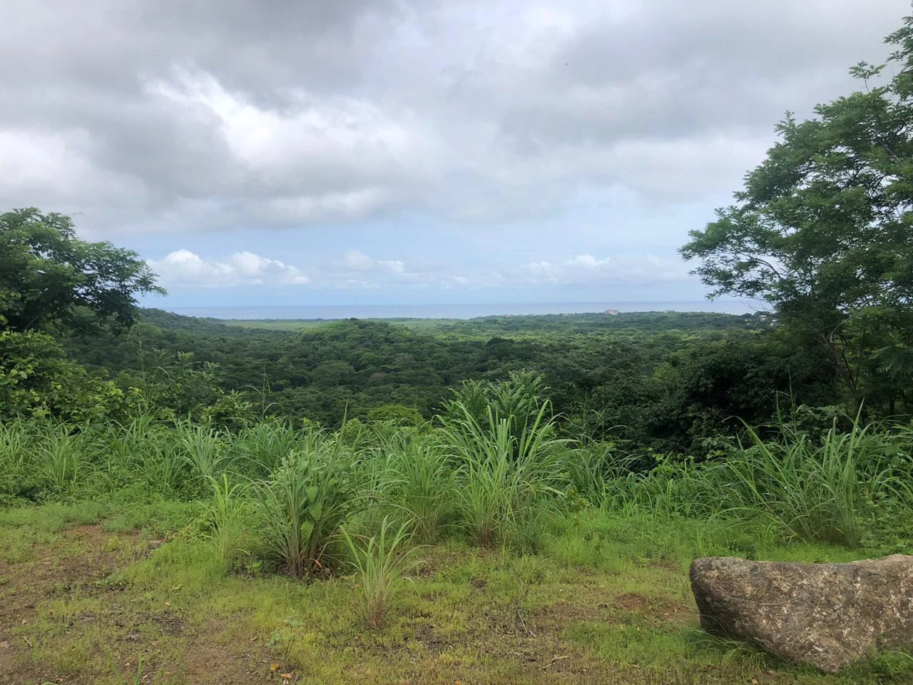 Spectacular private ocean view farm in Tamarindo, Costa Rica - Gallery image 4
