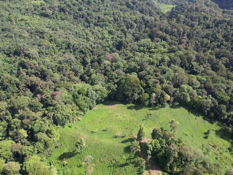 69.16 Acres Property | Mountain & Top Ocean View with Small Home - Gallery image 5
