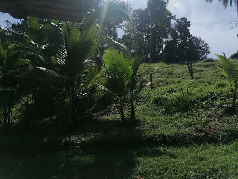 69.16 Acres Property | Mountain & Top Ocean View with Small Home - Gallery image 30