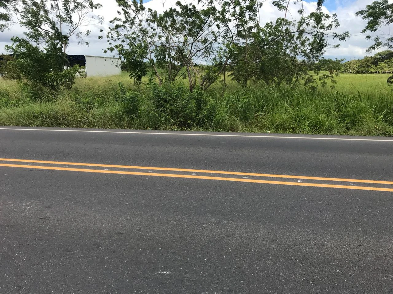 Property near Liberia and Discovery Park - Gallery image 4