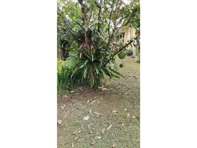 Countryside, Lakefront and Mountain House For Sale in Arenal - Gallery image 16