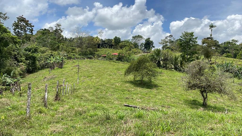 Building potential property for sale, beautiful land in the pure nature close to Bijagua - Gallery image 8