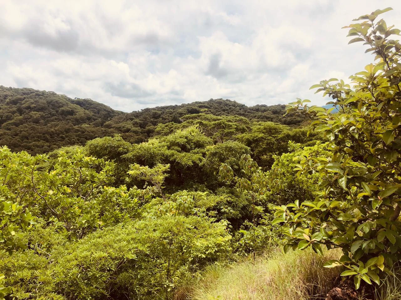 Spectacular private ocean view farm in Tamarindo, Costa Rica - Gallery image 13
