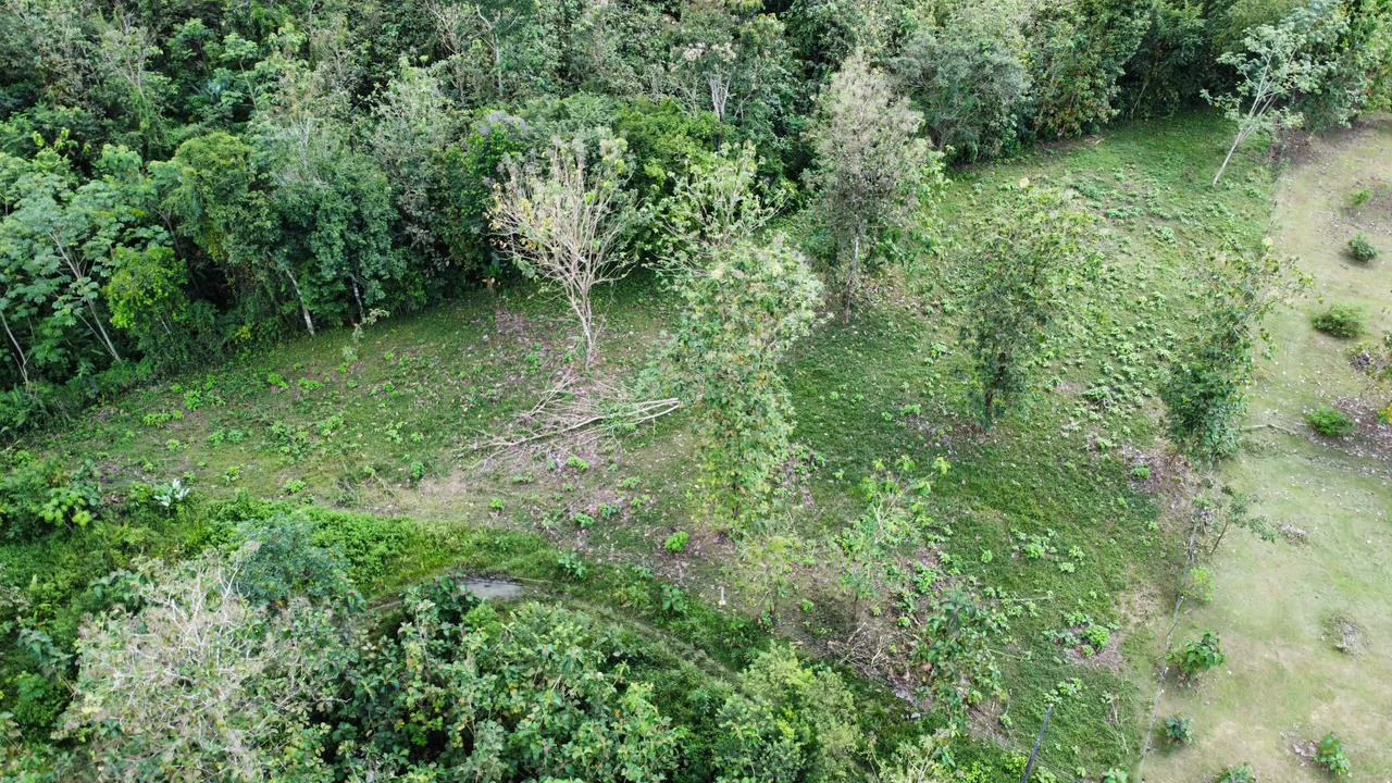 Off the grid property | Located in a privileged area, surrounded by natural beauty: Mountain Home Construction Site For Sale in Damas - Gallery image 15