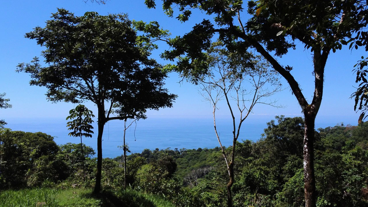Exclusive 5.80 acres Ocean View Estate Lot in Costa Verde Estates – Escaleras - Gallery image 4