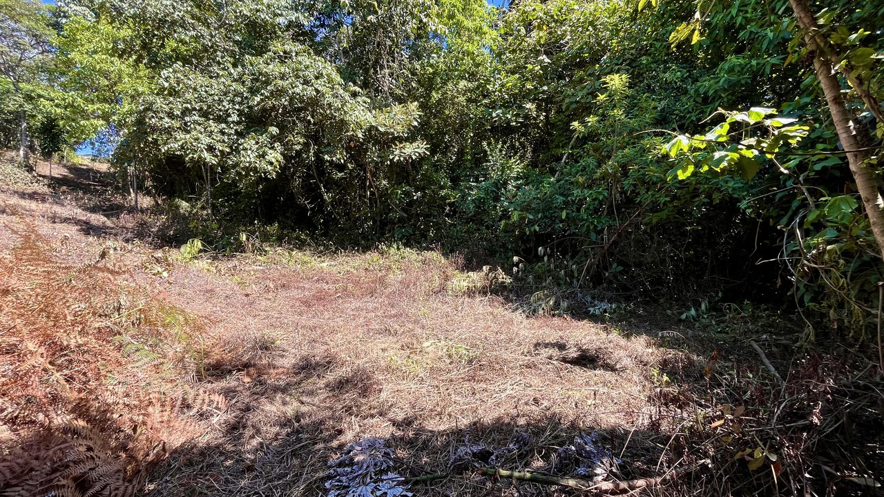 Home Construction Site For Sale in Pavones - Gallery image 16