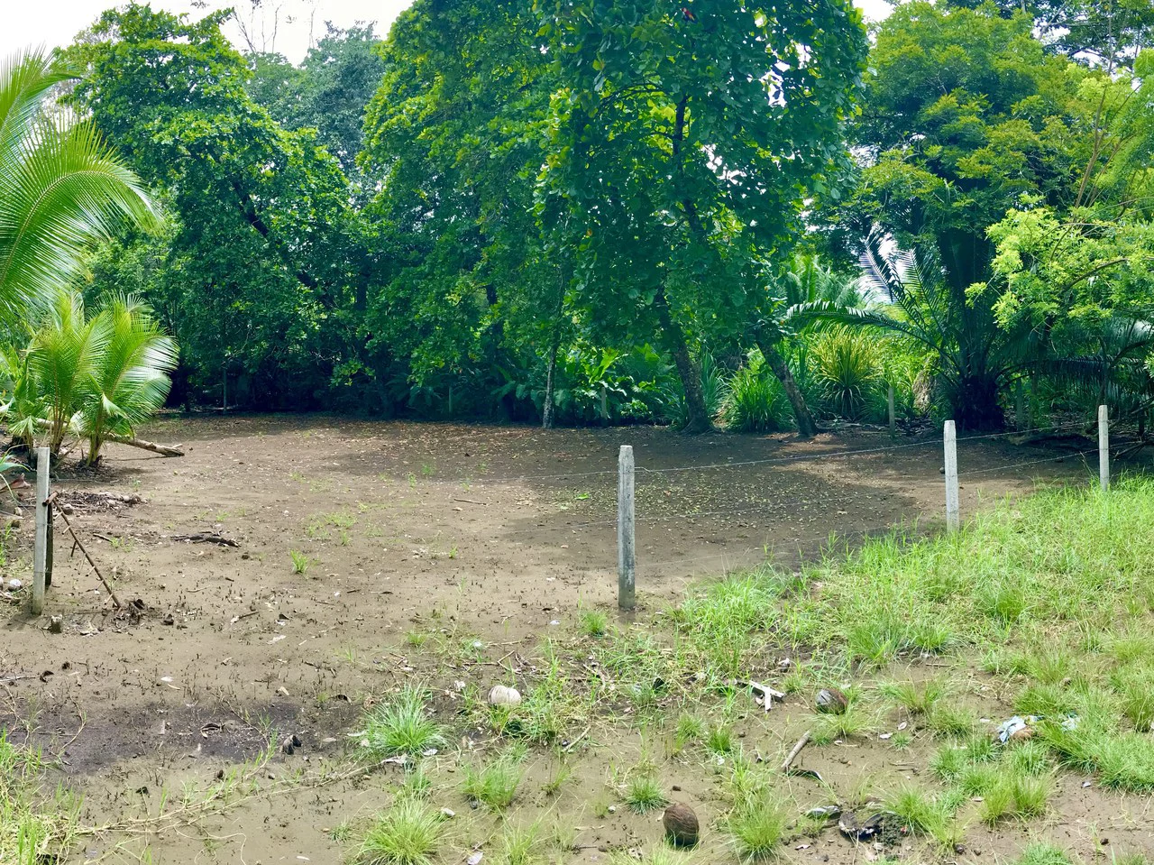 Titled Lot Near A Hidden Beach Close To Town - Gallery image 3