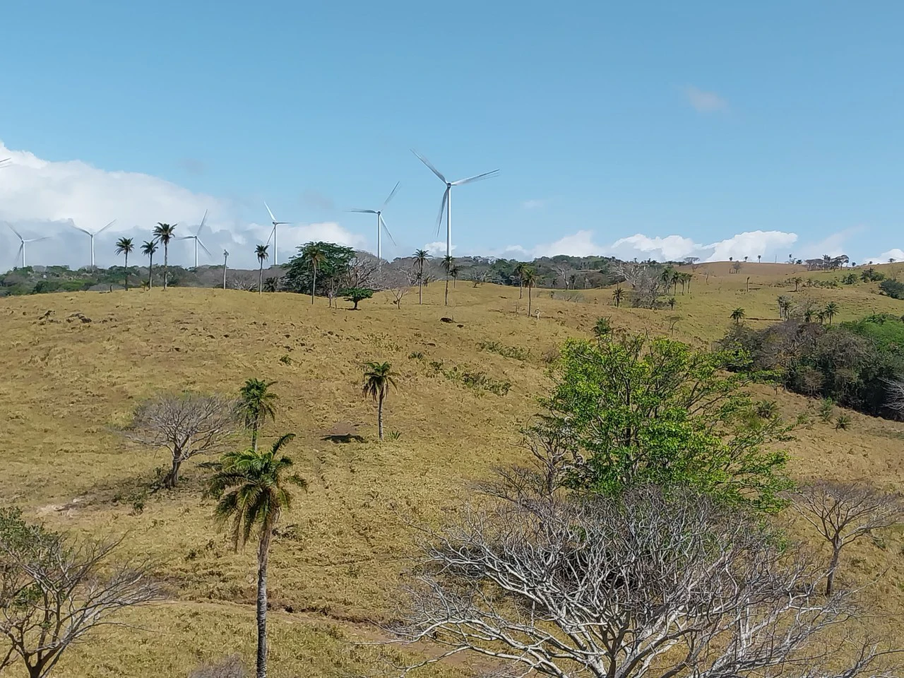 Finca de 613 acres/248 ha. con Linda Casa y Bonitas Vistas: Countryside Agricultural Land For Sale in Bagaces - Gallery image 10