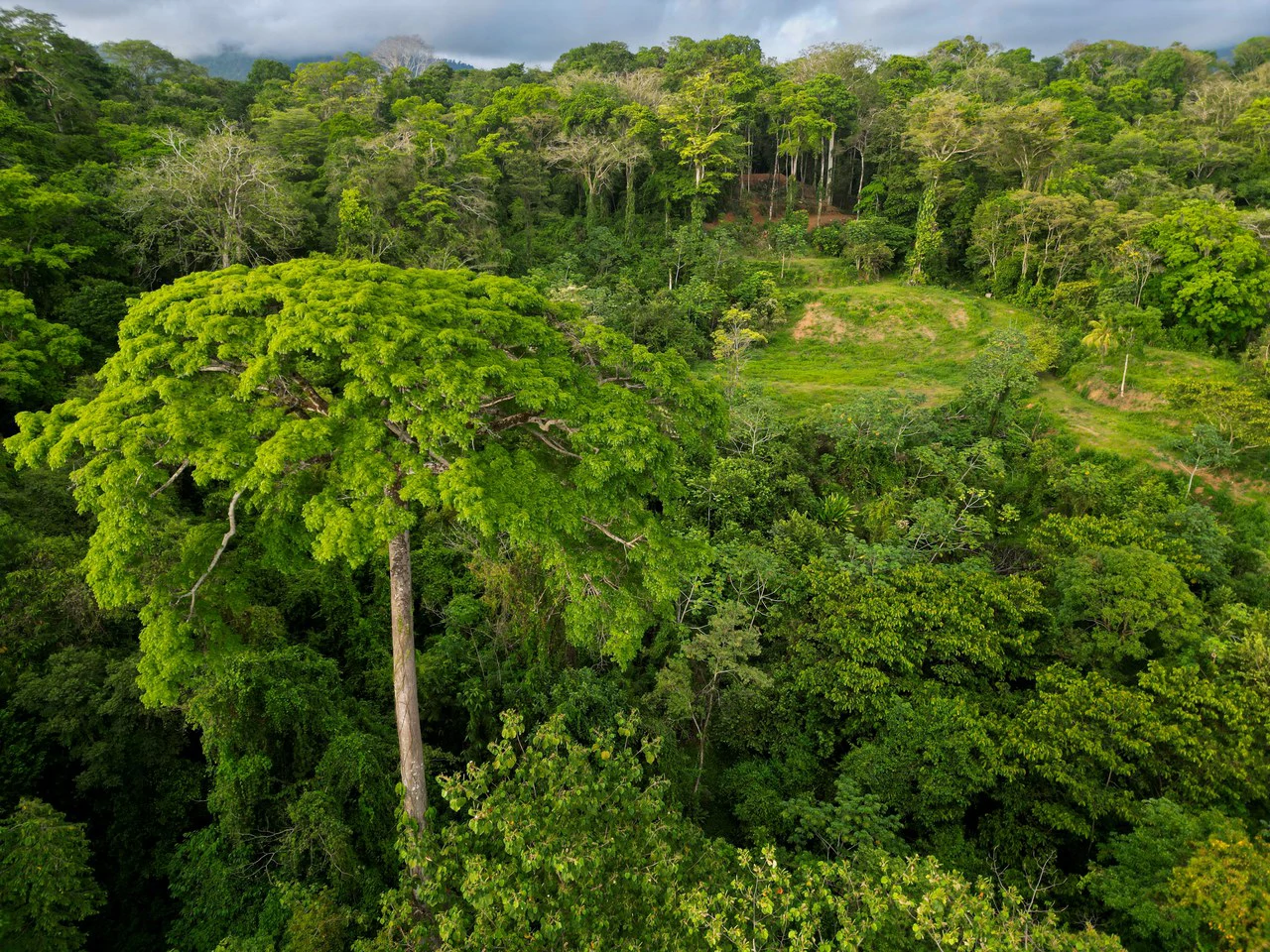 Build Your Vision in Uvita – 15.9 Ocean View Acres with Easy Access + Utilities Ready! - Gallery image 11