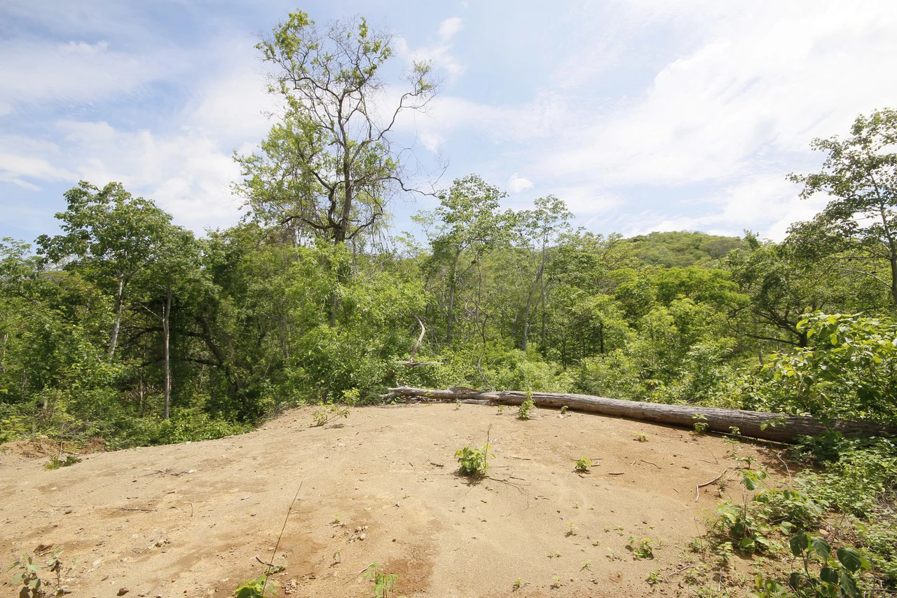 GRAN OPORTUNIDAD: GREAT OPPORTUNITY. Property of 48.3 hectares adjacent to the Hotel Riu