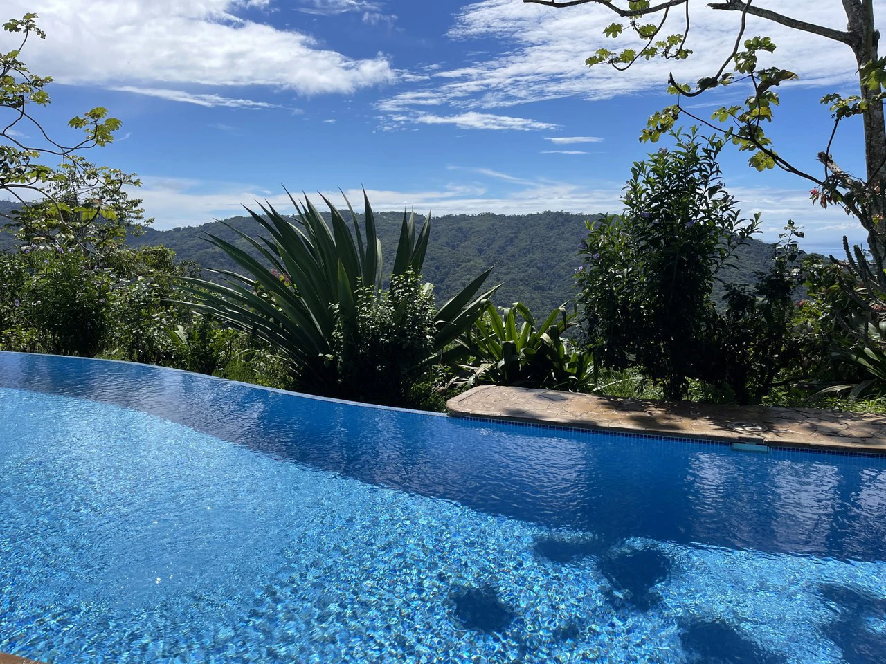 5.2 ACRES – 2 Bedroom Home With 60 Ft Infinity Lap Pool, 1 Bedroom Guest House, Fabulous Ocean View, Mature Fruit Trees!!! - Gallery image 7