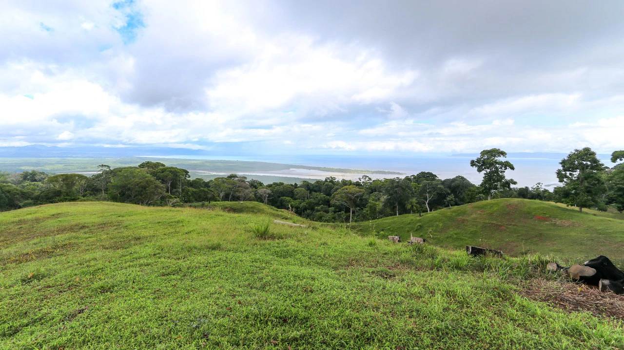 Unique Development Property Overlooking the Pristine Golfito Bay and Golfo Dulce - Gallery image 24