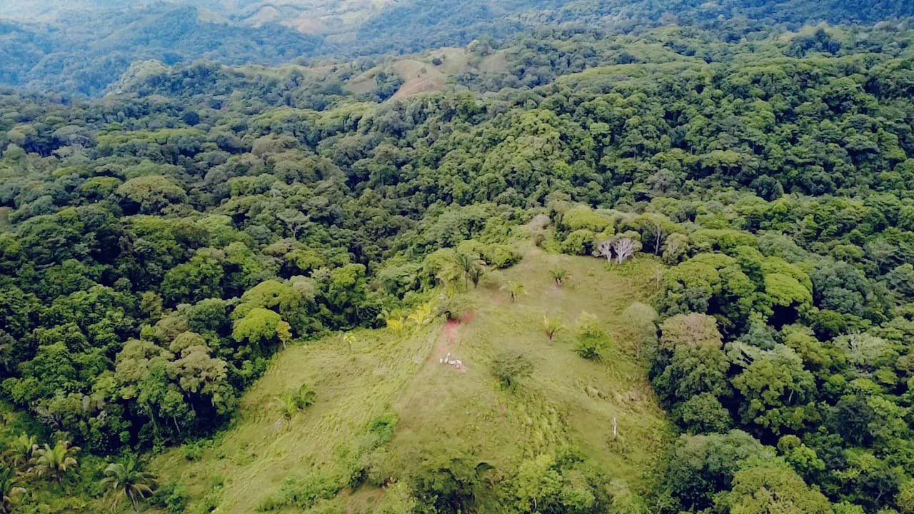 Near the Coast Home Construction Site For Sale in Osa - Gallery image 6