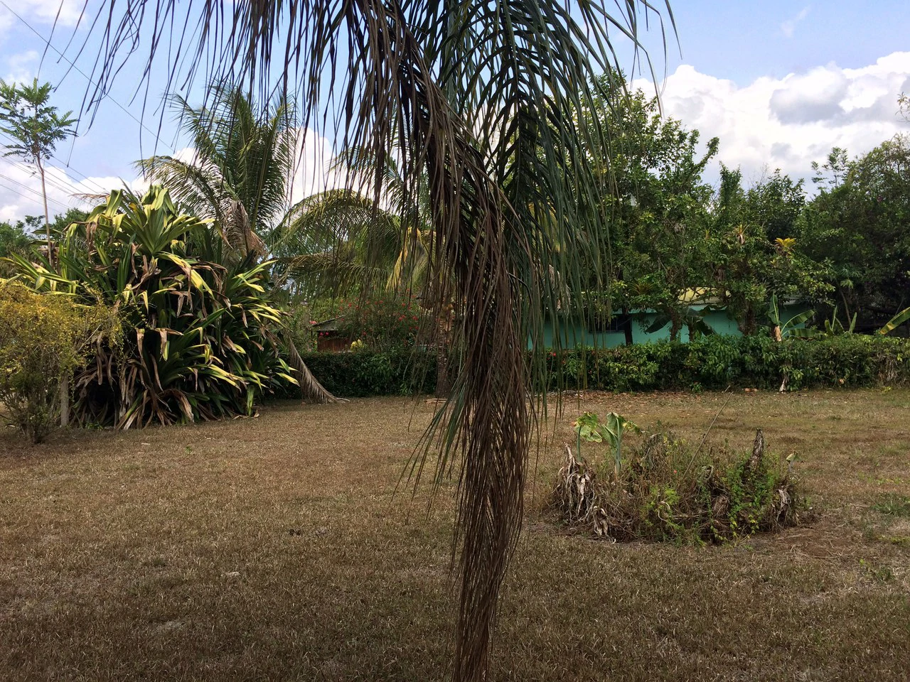 Propiedad grande: Countryside Home Construction Site For Sale in Caño Negro - Gallery image 2