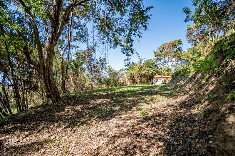 FINCA GABRIELA: Exceptional Opportunity- 9 Hectares (22.5 Acres) of Development Potential with Ocean View Home – Just 3 Minutes from Samara - Gallery image 28
