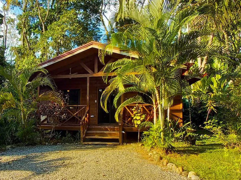 8 Cabinas with Swimming Pool on Lush Jungle Property in Uvita - Gallery image 27
