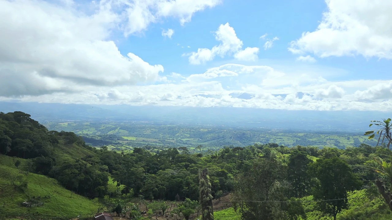 Mountain Agricultural Land For Sale in San Isidro del General - Gallery image 4