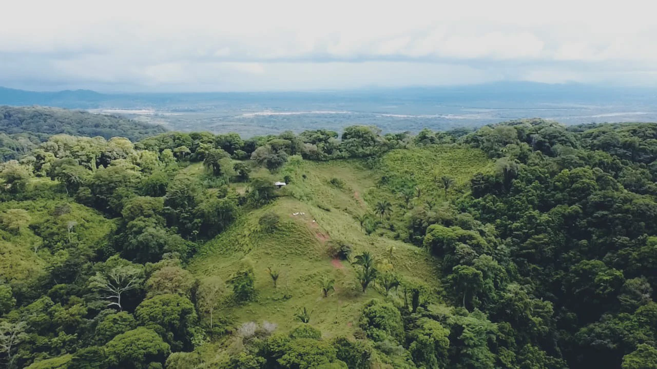 Near the Coast Home Construction Site For Sale in Osa - Gallery image 17