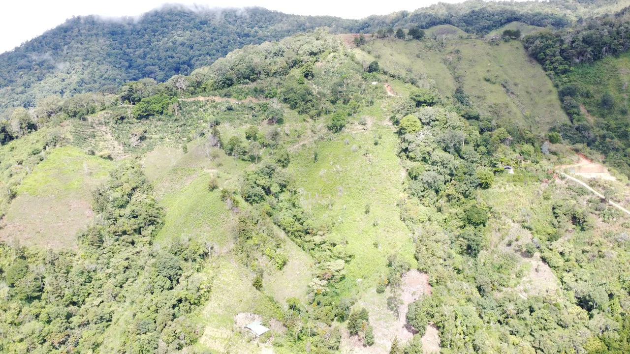 LOTE EN HERRADURA RIVAS.: Mountain Agricultural Land For Sale in San Isidro del General - Gallery image 12