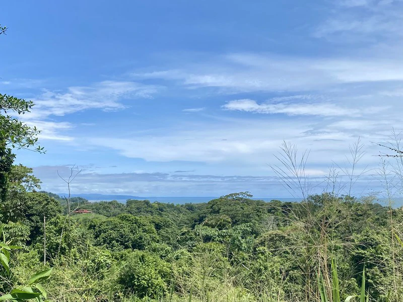 Exquisite Jungle property with Ocean View | Gated Community in Ojochal - Gallery image 2