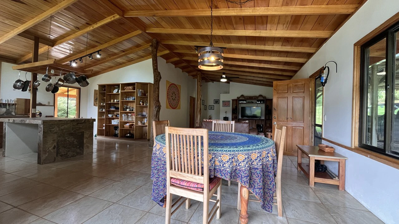 Mountain House For Sale in San Isidro del General - photo 16