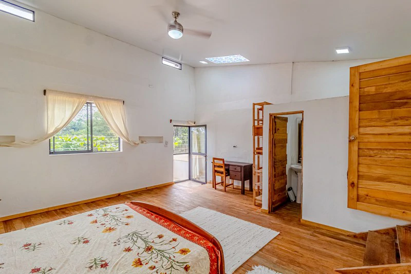 Casa San Pedrito: Beautiful house for sale in San Pedrito,(1,3hect) Perez Zeledon - Gallery image 37